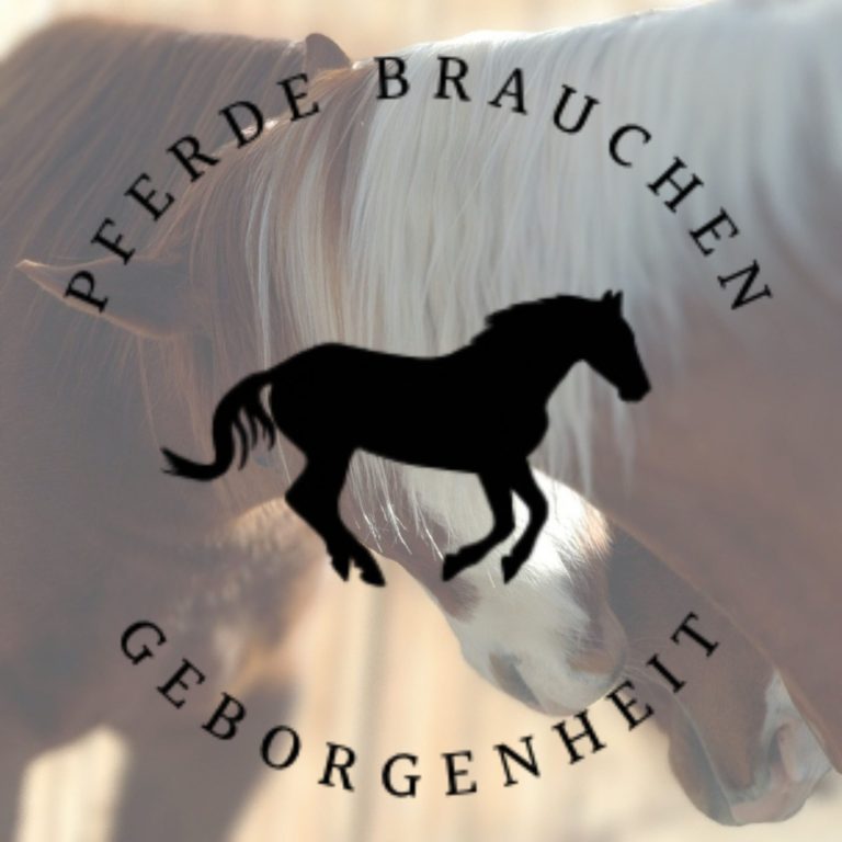 Logo »Pferde brauchen Geborgenheit« Schwarzes, galoppierendes Pferd mit Schriftzug »Pferde brauchen Geborgenheit«, im Hintergrund zwei Pferdeköpfe, die sich aneinanderlehnen.