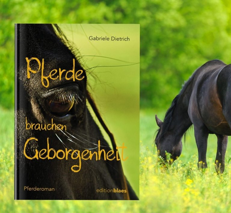 Cover »Pferde brauchen Geborgenheit« Cover vom Roman »Pferde brauchen Geborgenheit«