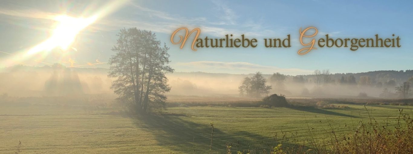 Bild »Naturliebe und Geborgenheit« Bäume und Sträucher im Nebel im Gegenlicht
